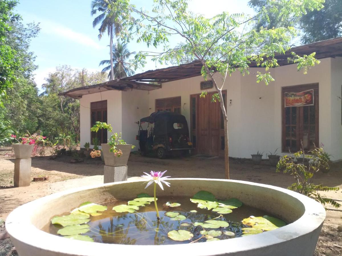 Silent Peacock Villa And Peacock Cafe Tangalle Kültér fotó