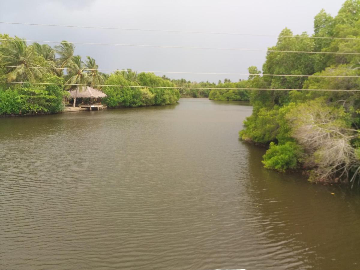 Silent Peacock Villa And Peacock Cafe Tangalle Kültér fotó